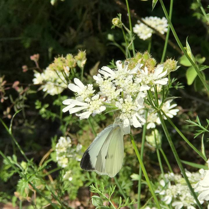 890fff49 c76e 4bf5 8ab7 25b978c6ce0e