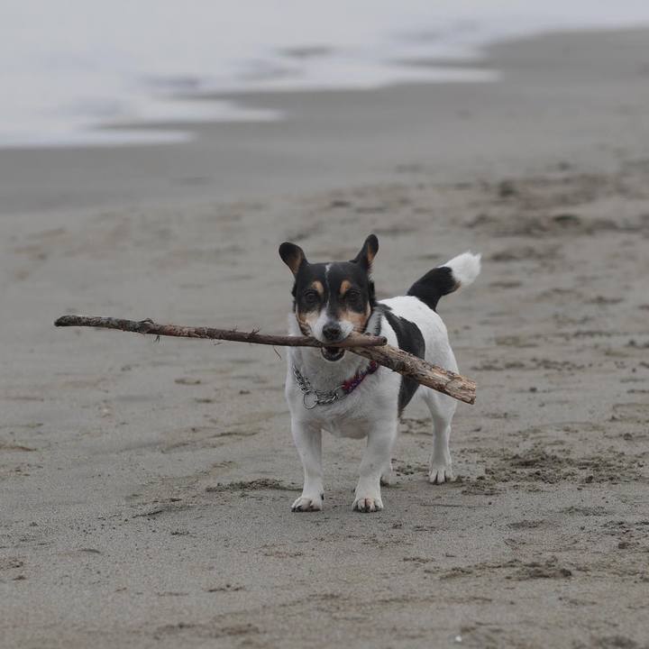 89100e98 7ae4 4b46 9dd9 a7acfce0d31a