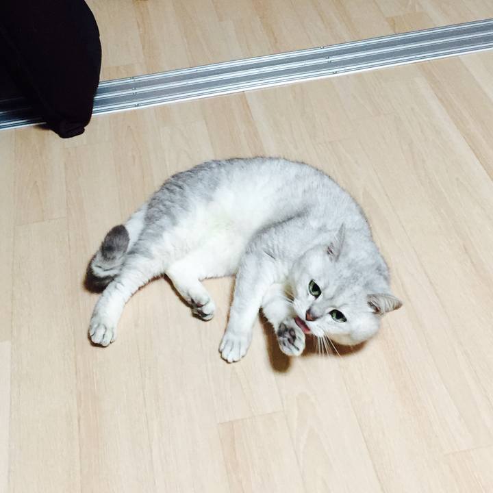 8910f874 a2a6 4531 861f 2657c28326b2