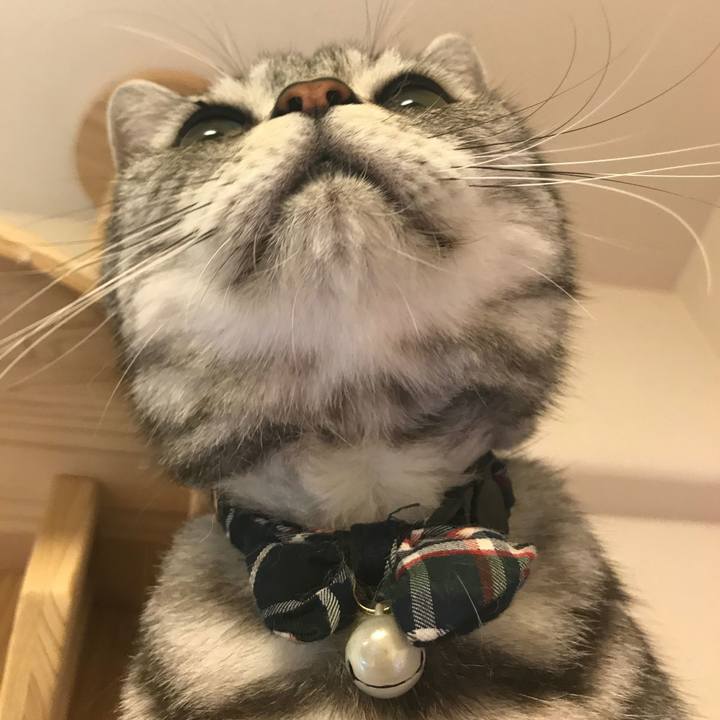 89111209 d48e 45a5 9842 4ea8779ff608