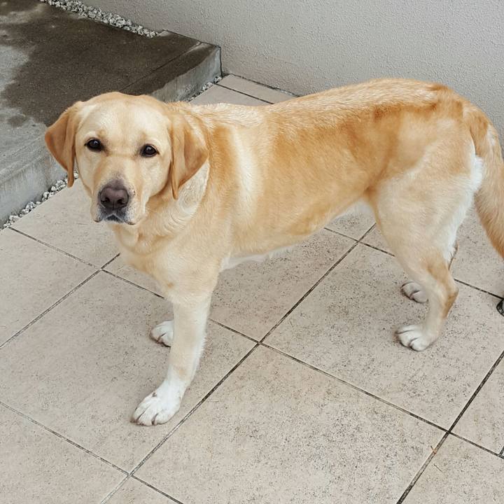 8911142d 3a6b 4076 a964 f9d463fd69ae