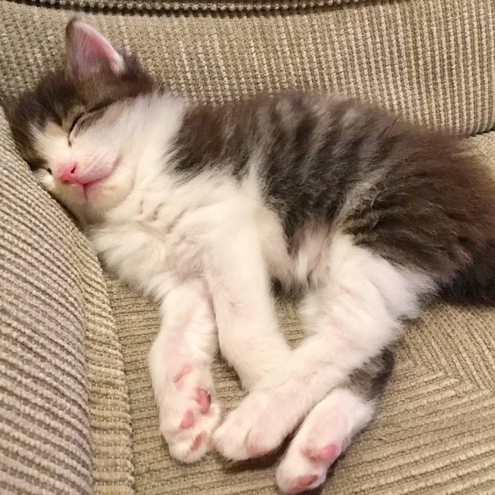 89117d31 f0a4 47b2 9bc3 a02a765ff2a9