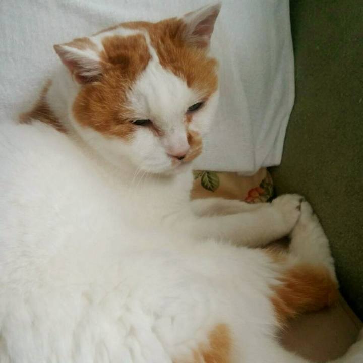 89119881 8993 4c39 b5c9 74296c44f271