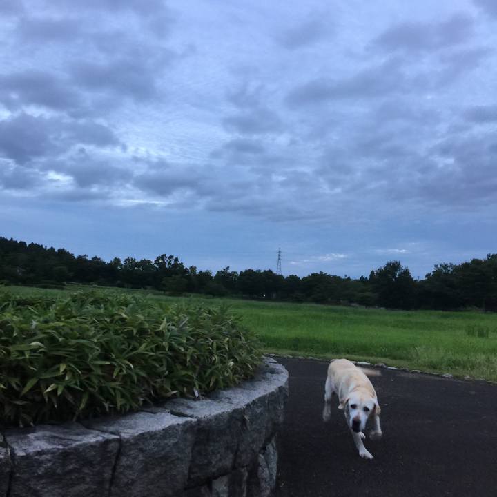 8911e609 0bc6 4b16 b1c9 1eba3448014a