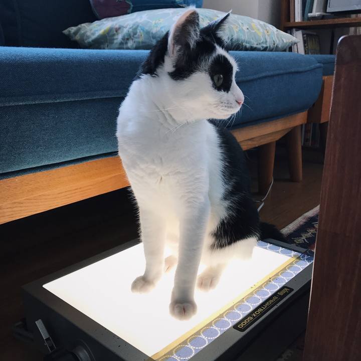 89128234 a65d 4eb7 9c15 029806e6c267