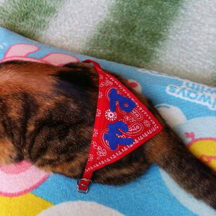 8912cc16 9712 48c6 8c6e 9a817e62d8a5