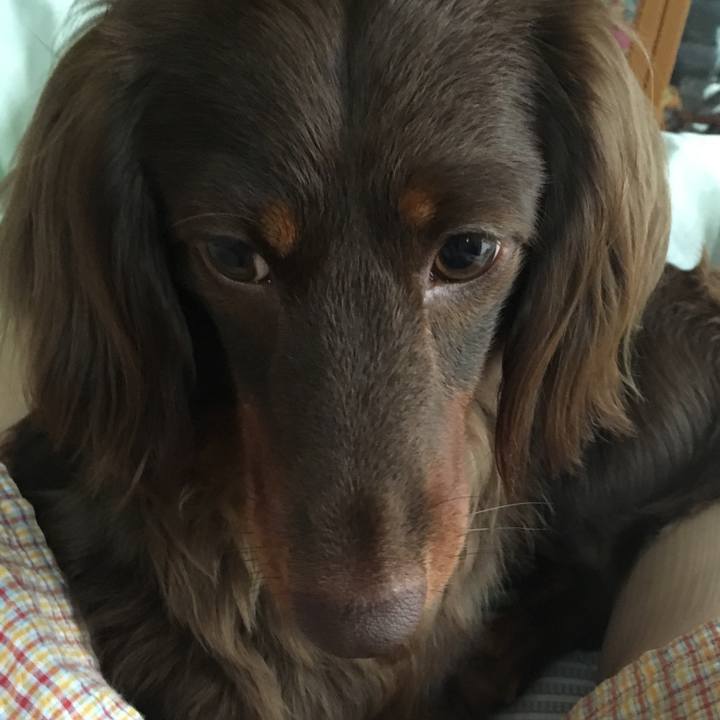 89135ba3 c67c 4eed ac1c 58b0325a4e0c