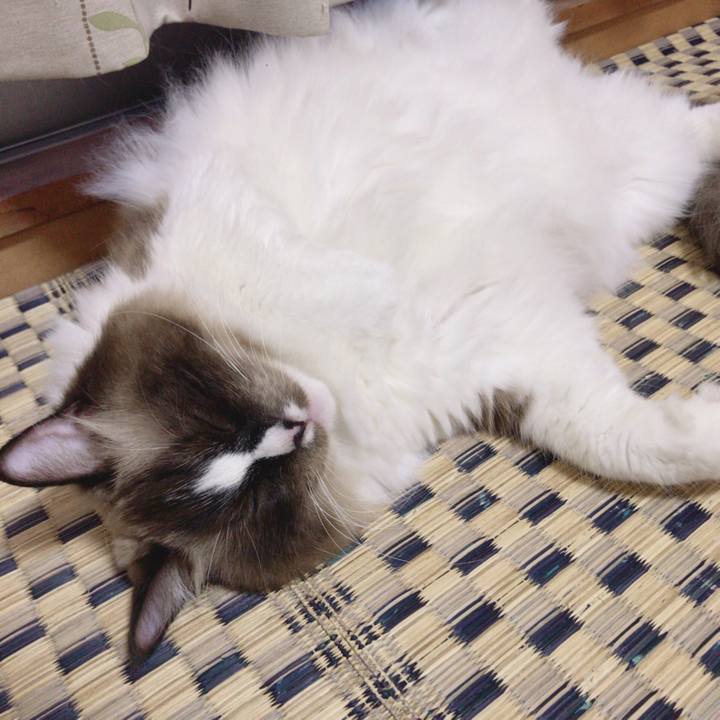 891425b9 532c 4a90 82d1 98845683102d