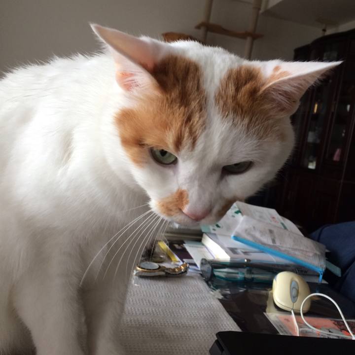 891437ab 7730 40a4 bb40 ccb47c035b5b