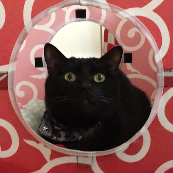 89149d46 7be2 4700 bfec f463d08cd994