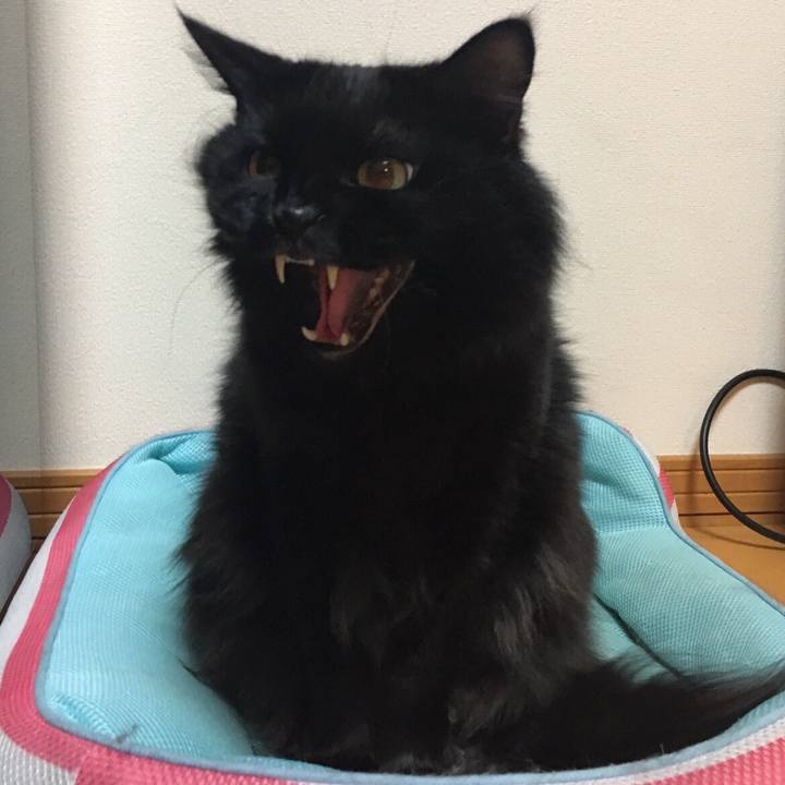 89151472 e2b3 4230 aebb abbcdafde3ad