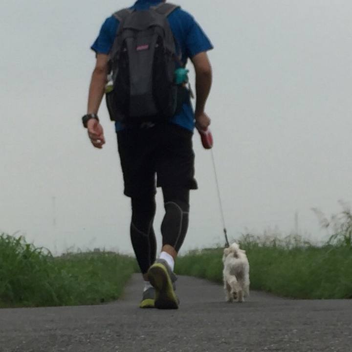 8915a358 55fe 4156 89d2 5de9834ac12c