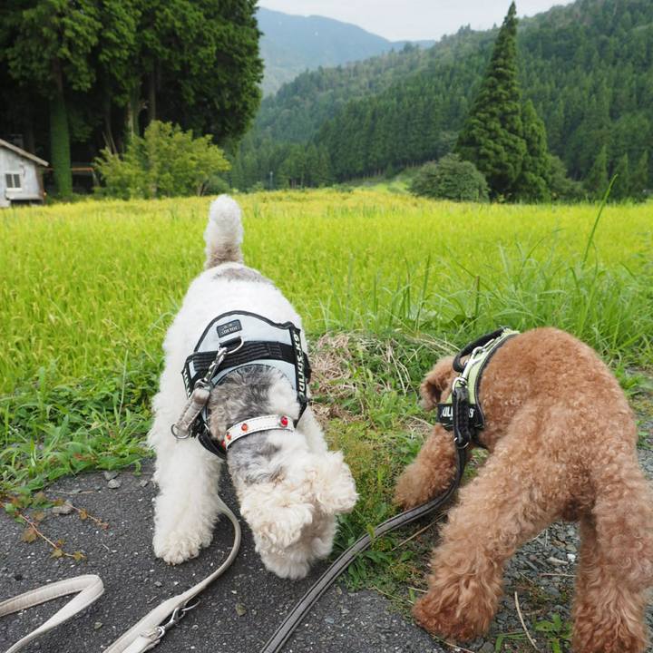 8915a3cf 6910 4848 8b01 e9abf7d7966b