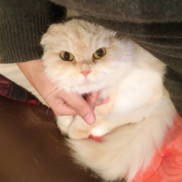 8915aac6 98c4 4036 af87 85e9d7c3f030