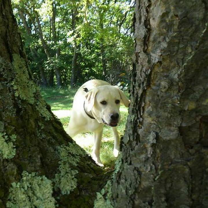 8915ac1f 6514 4a0c 914f 59410ebe2338