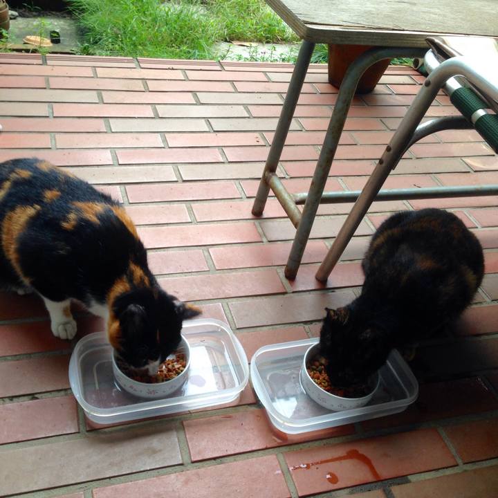 89161880 3c4c 492c 8318 9f69e1d71244