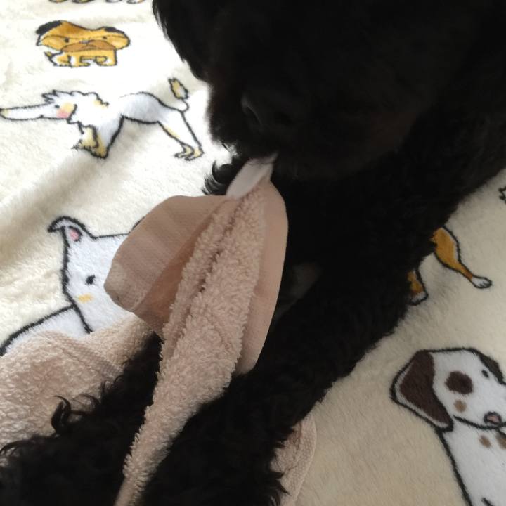 891626bb 504f 43e3 99a9 be4ea37497bf