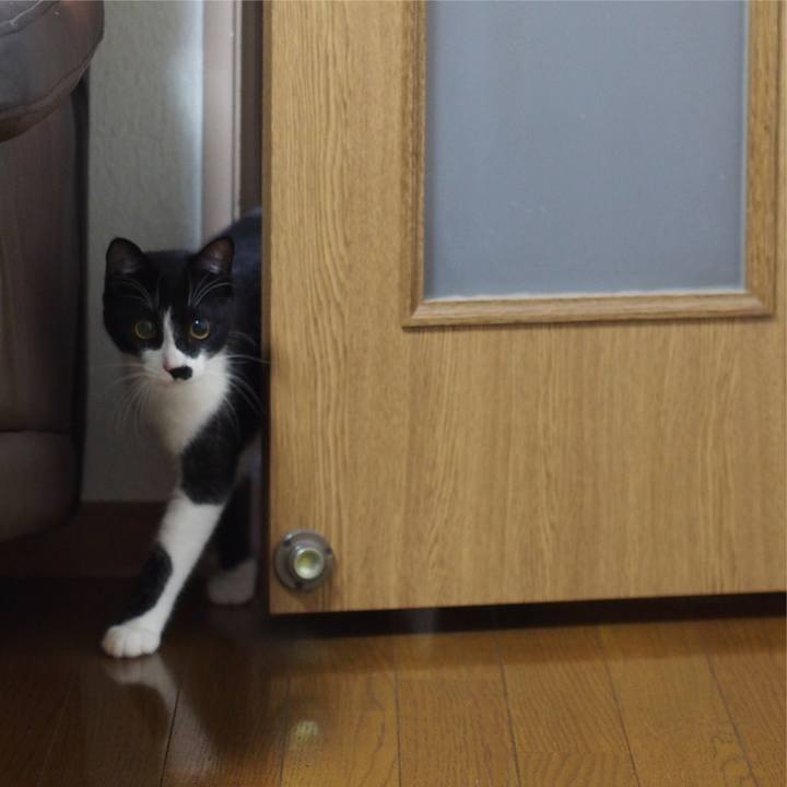 8916fff4 4868 4dd8 b333 0d047f9d572b