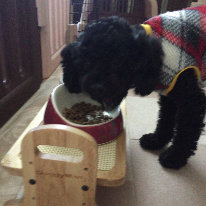 89171b0a d3ba 45a9 9bc5 3ac3ab5533cc