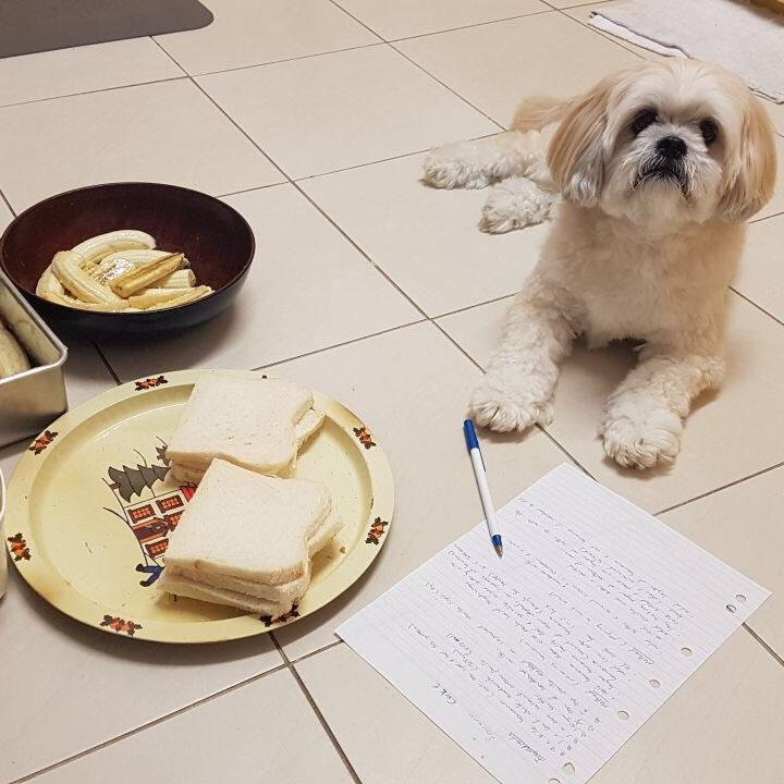 89175f15 28db 471f b311 ae948e8da5ea