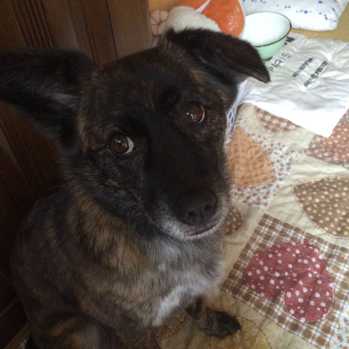 8917b619 a67d 4c97 9de0 3128ac9069f4