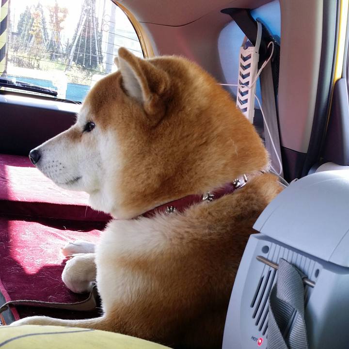 8917bbbe 5fbf 4555 9e60 c57614791429