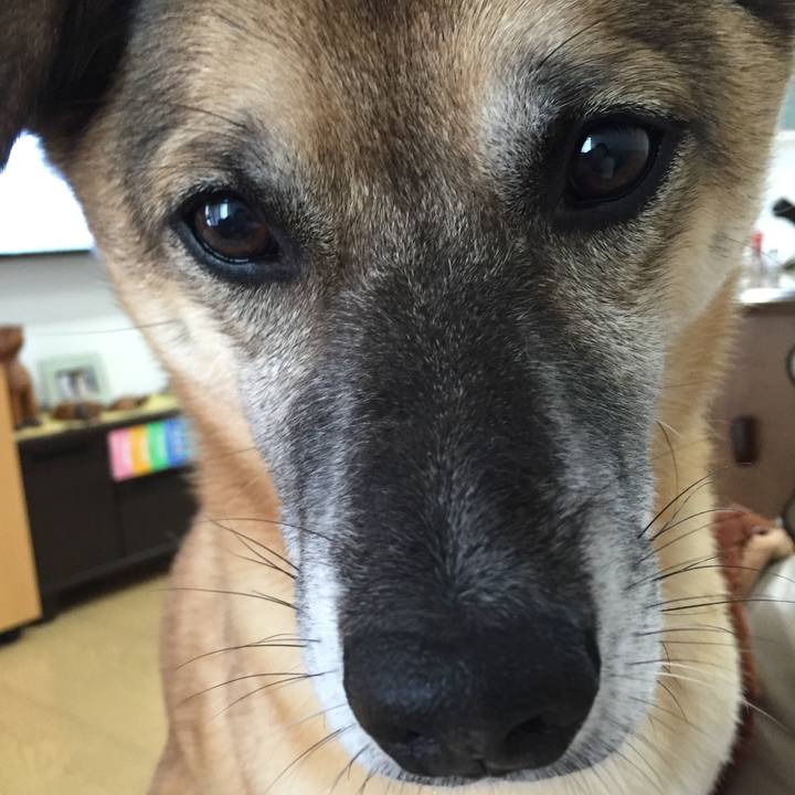 8917c39e 27dc 49c5 83a7 dcfe322f8ae8