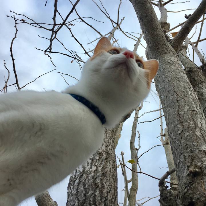 8918082d 8be3 49a1 9988 cca0d8663456