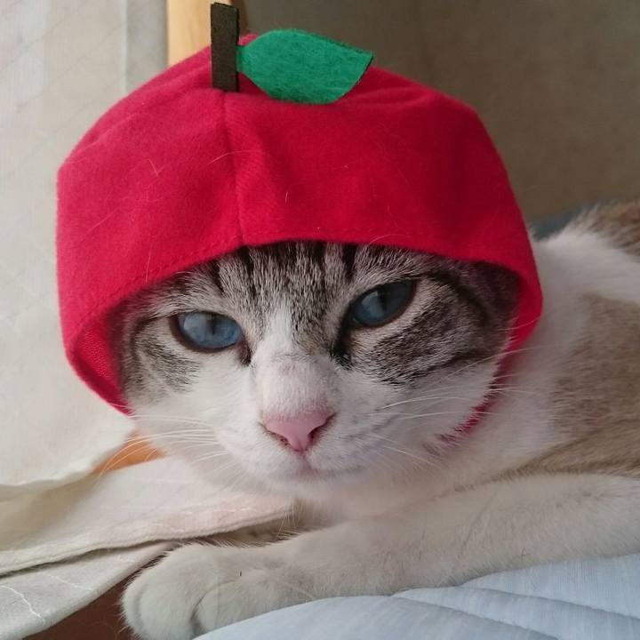 89190382 256a 430f 84f5 6f0f9e4ec4de