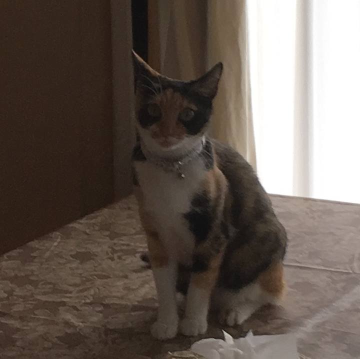 8919253e 03df 46be 925c f6b6c7745d19