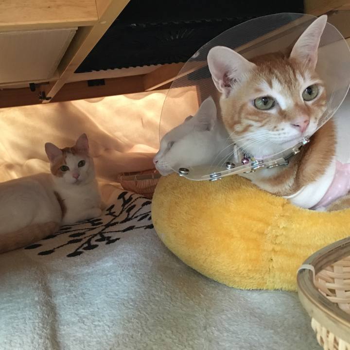 891a5b67 462f 4d77 be35 f38b9098e896