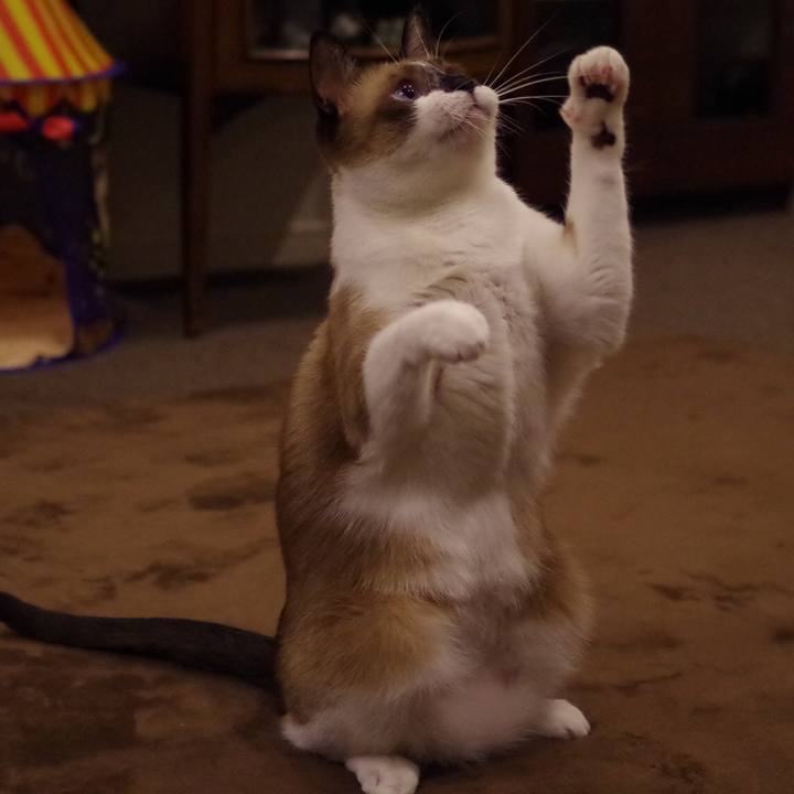 891a5c8a f7aa 4a2f b521 a51f8fd1c8e5