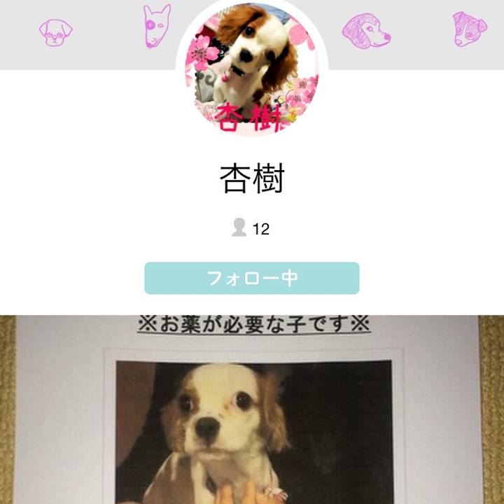 891acf22 8f40 434b 8564 2ecf535b886d