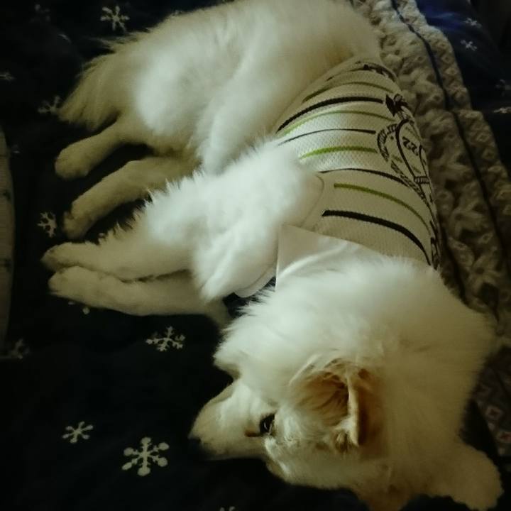 891bc4c6 3170 4a30 a19a 1b22957b823f