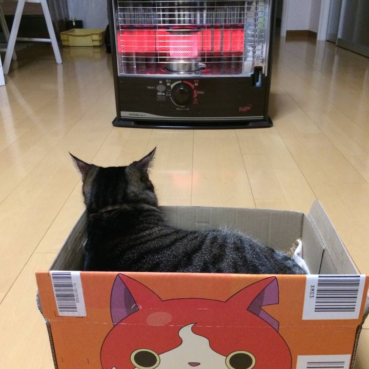 891be5dd d3db 4a6f a261 749d25a68ff7