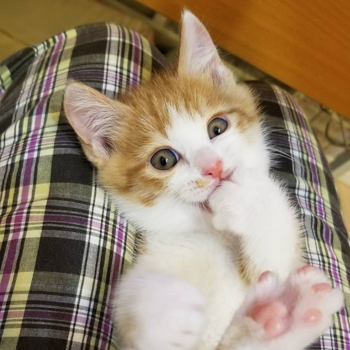 891bf238 924a 4948 b0de 8039478cc54d