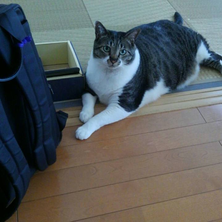 891c3020 826c 4475 a437 50036b7697a3