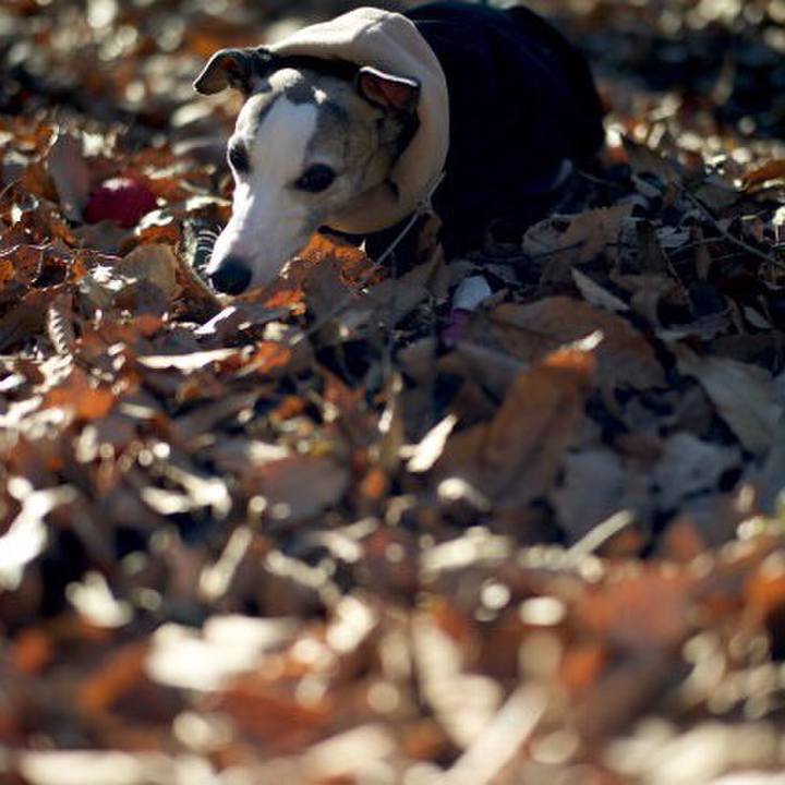 891cd56e 31a4 4453 8a7a 180698302445