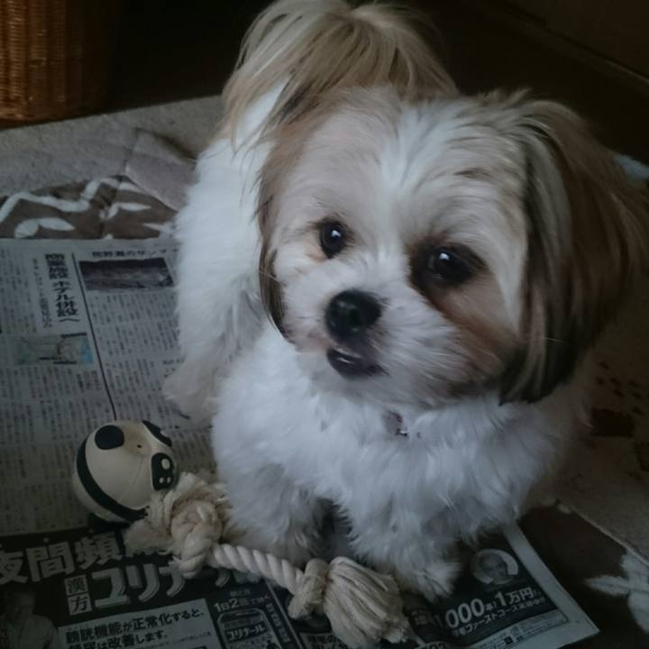 891d11c6 7995 4ddb 993c 29ebf9360bcc