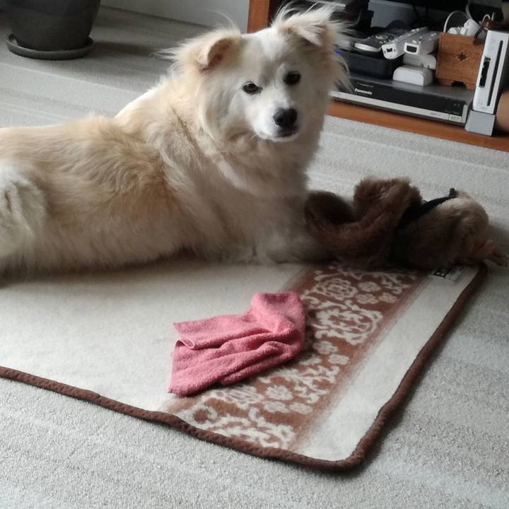 891d3de2 6d41 48d7 8420 3d04be73b7d0