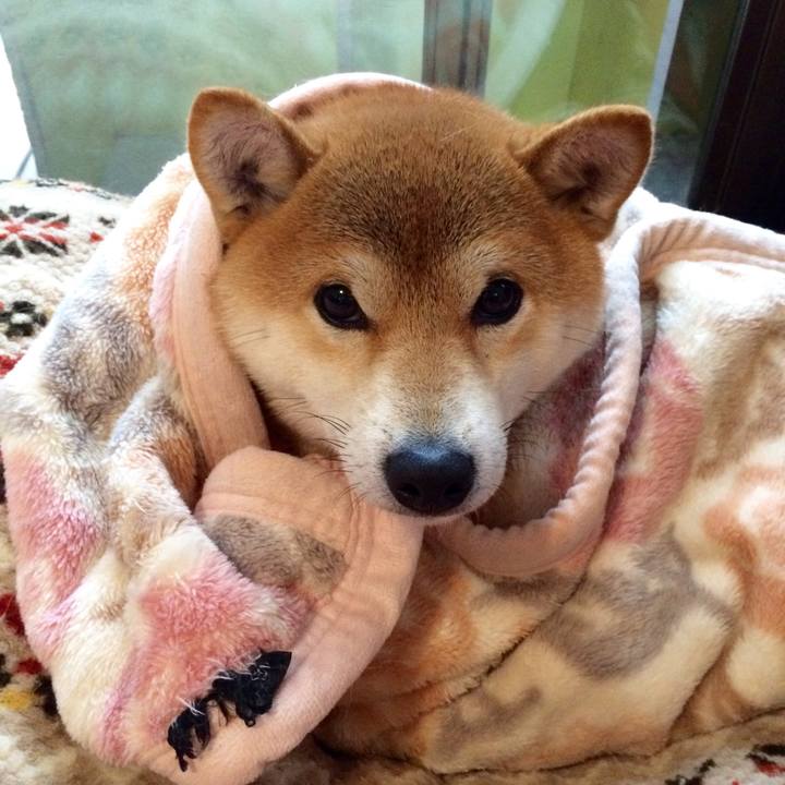 891d4d90 5a15 4e4c b1b5 2dfc11546da2