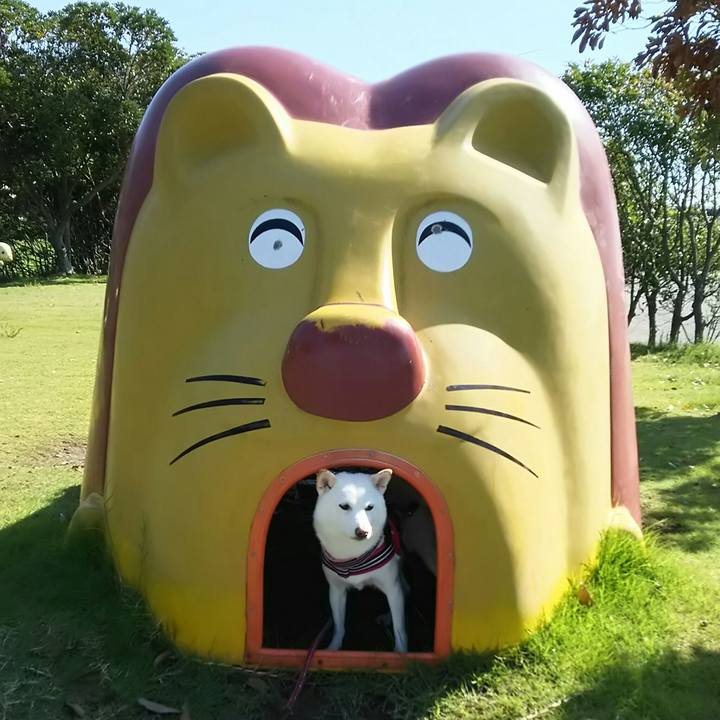 891d7153 f9eb 4be0 ab3e db5866728574