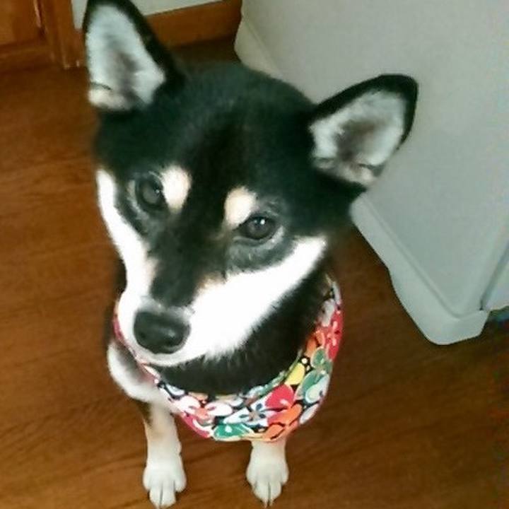 891dc71a d609 4369 8e6e 5f73b69e2518