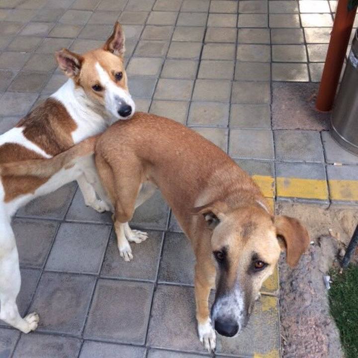 891e2f7f d051 47e6 bcc9 7909c0a00987