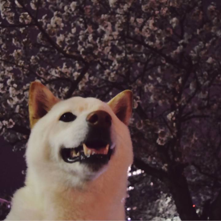 891e6bde 2bb8 411d 9c06 37b18f7b6eab