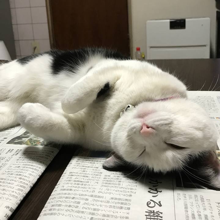 891e741c 4481 47bf 8424 58da0214a014