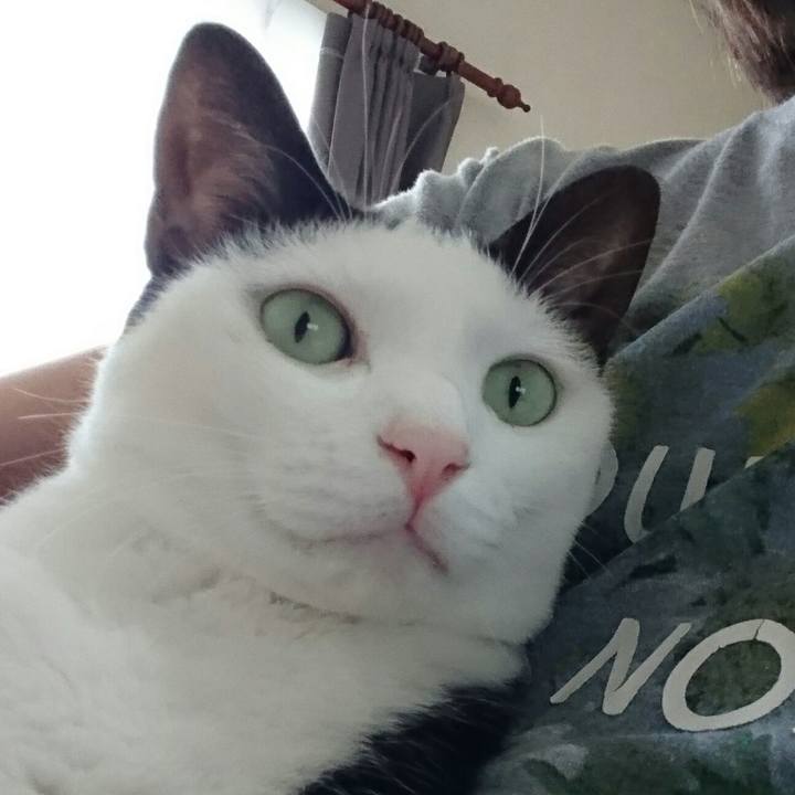 891eaff6 c2ff 4ac8 9956 e07810f728e0