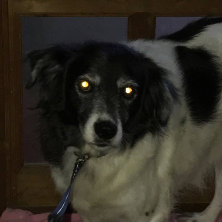 891ed5be 651d 4dbb b3c9 810c8f83d6be