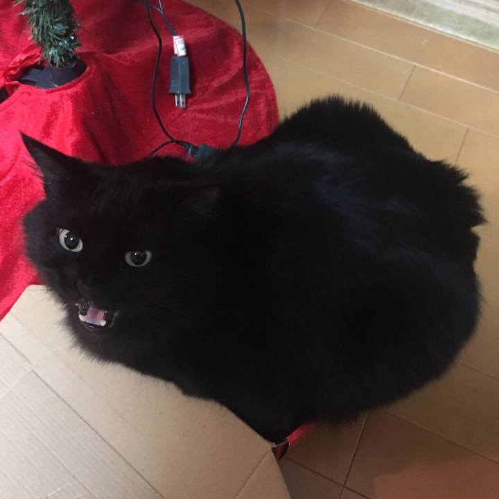 891f30c7 0a11 4596 a8e9 b045cb1e9af6