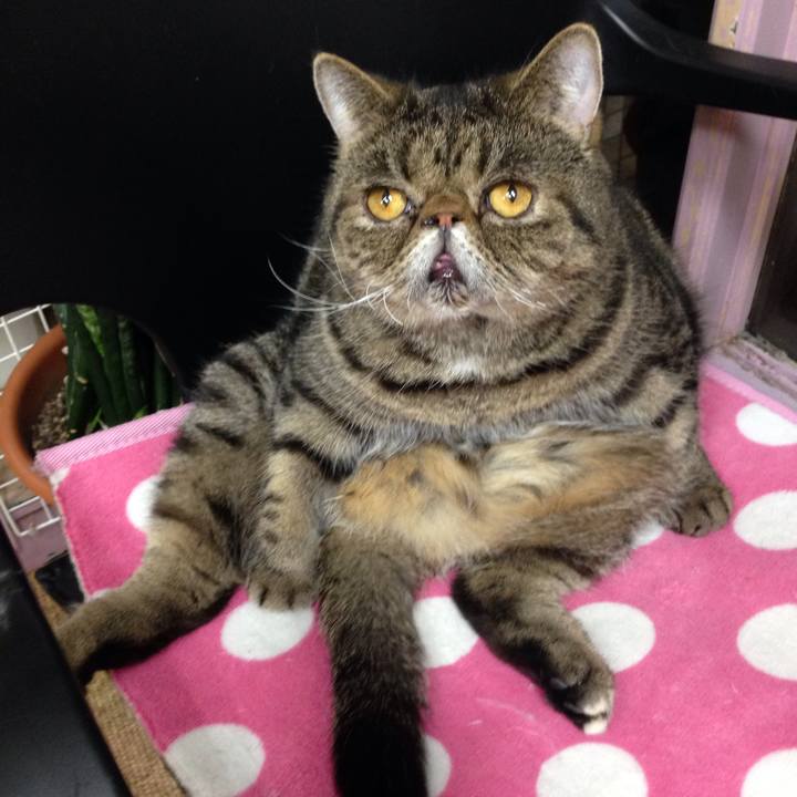 891f37bd b101 461e a4ad 8d04804ae0cc